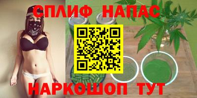 сатива Кимры
