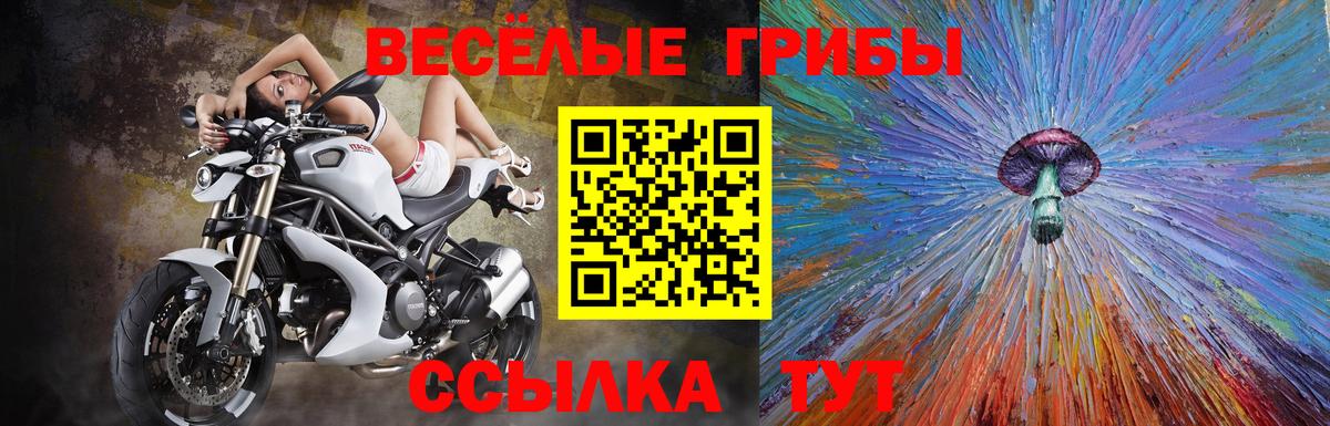 Галлюциногенные грибы Magic Shrooms  Вход с VPN  Псилоцибиновые грибы мицелий  Коряжма 